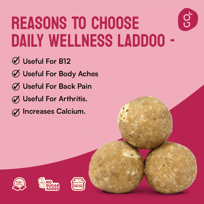 Daily Wellness Laddoo